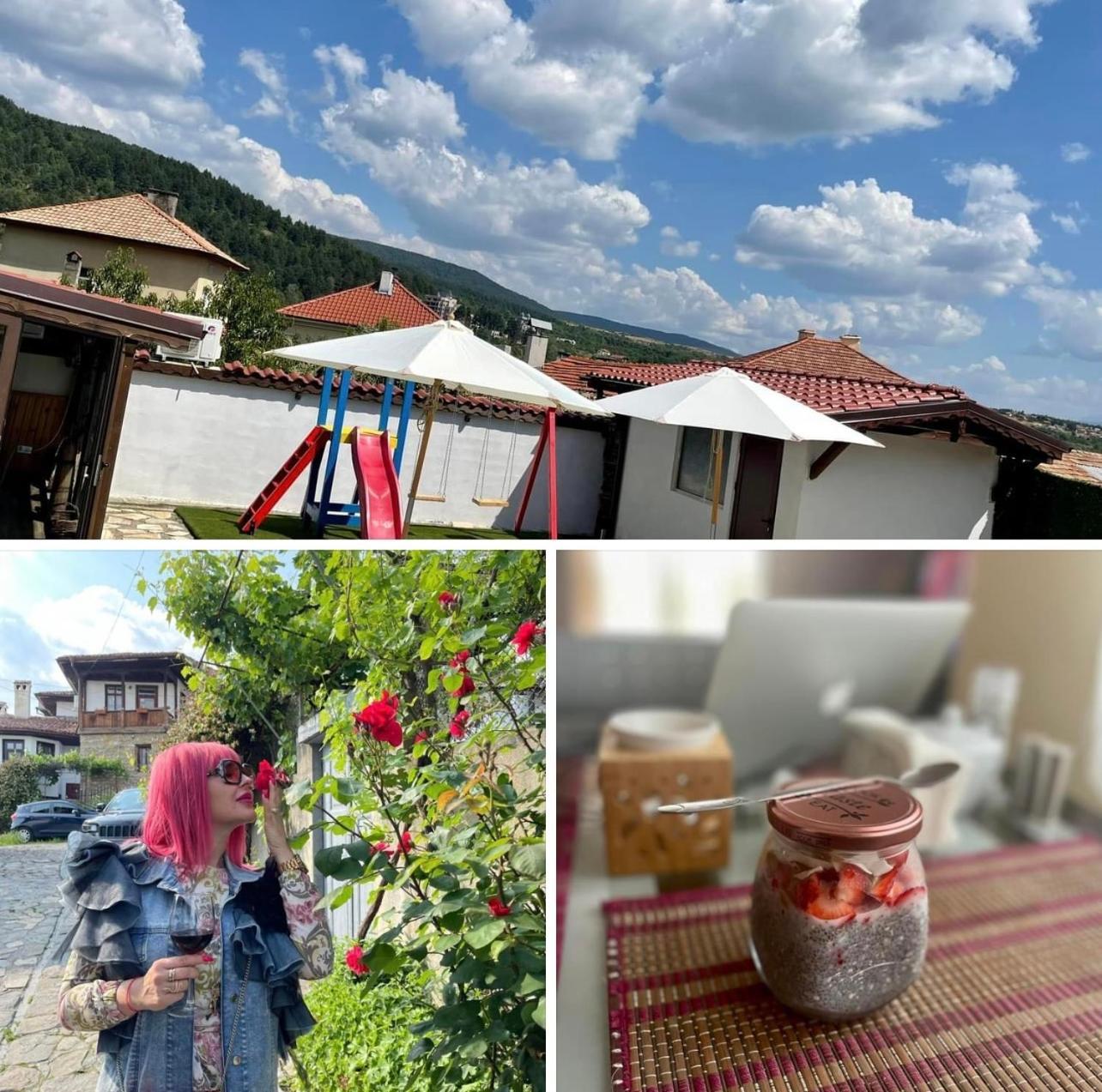 Boris House Hotel Ognyanovo  Eksteriør billede
